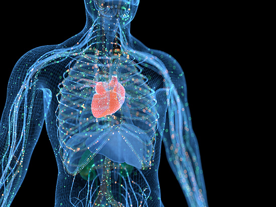 Cardiogenomics Internal System 