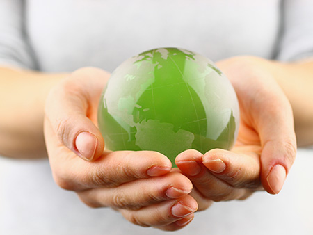 Green globe in the hand