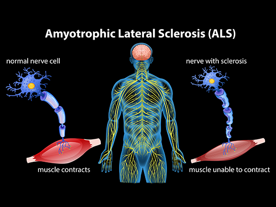 Inside ALS