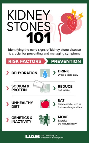 Kidney Stone 101 graphic large