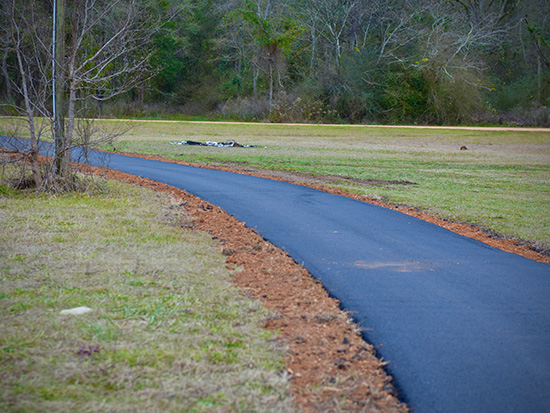 New Trail Stream