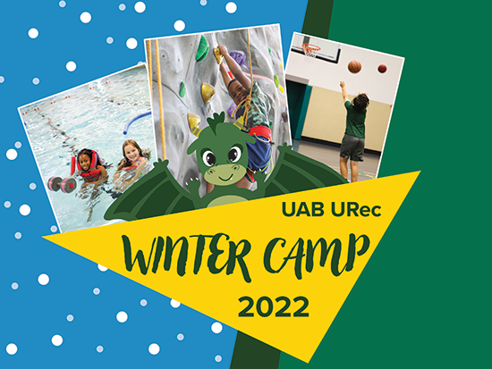 Stream Wintercamp Web banner