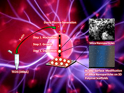 Microtubules, 3D computer illustration. Microtubules are polymers of the protein tubulin. They are a component of the cytoskeleton, which maintains a cells shape, allows some cellular mobility and is involved in intracellular transport. The tubular polymers of tubulin can grow as long 50 micrometres and are highly dynamic. In Alzheimers disease, the transport of tau-protein (belonging to the MAP proteins) stabilizing the microtubules is disturbed and allows phosphate-groups to attach to the tau-protein, destabilizing the microtubuli of brain axons. This leads to the agglutination of the nerve cells resulting in neuronal degeneration.