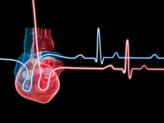 Ventricular Stream