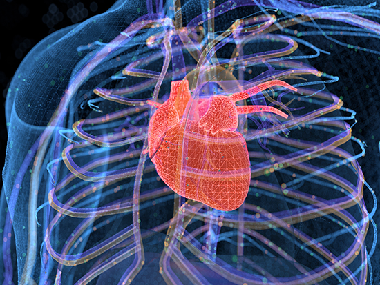 x-ray of chest 