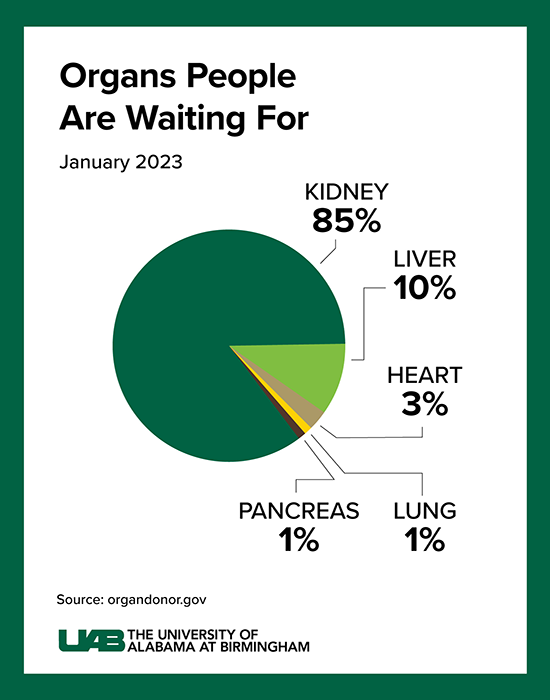 small 06 Organs People Are Waiting For 2023