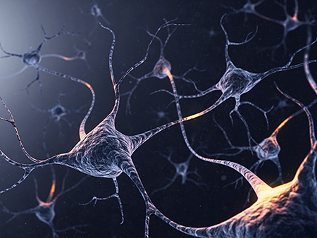 system of neurons with glowing connections