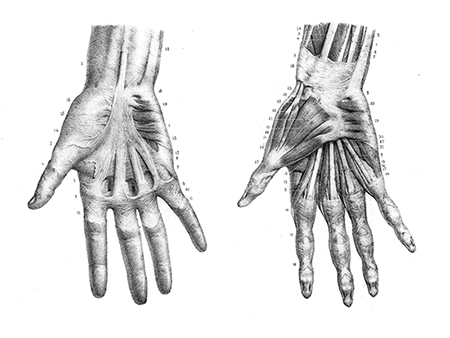 Atlas d'anatomie descriptive du corps humain C. Bonamy - Paul Broca Victor Masson et Fils Paris 1866