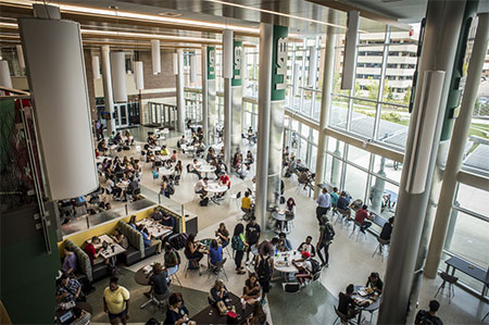 students dining stream