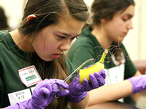 Girls in Science stream