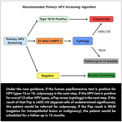 HPV graphic