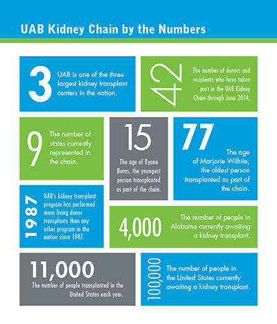 PRESS RELEASE chain by the numbers