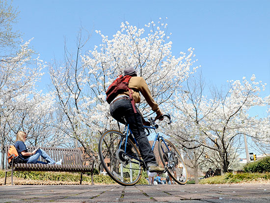 bike safety stream