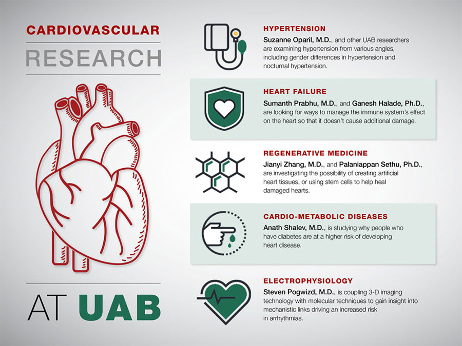 research on heart disease