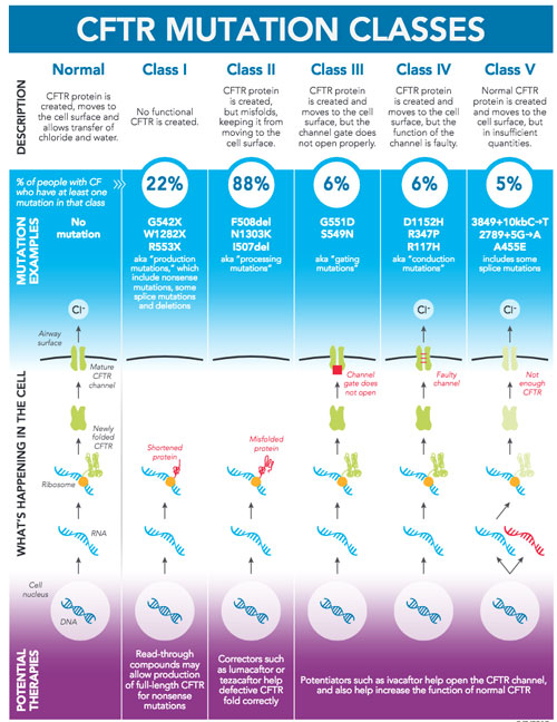 cftr mutation small
