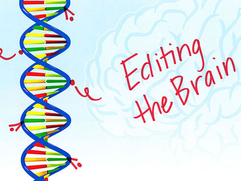 editing the brain