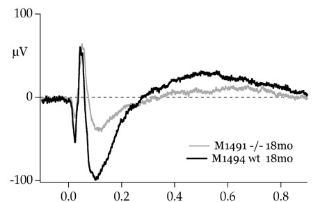 erg graph