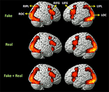 fmri 2