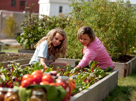 harvest-for-health f