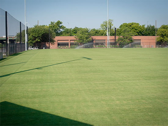 intramural field stream