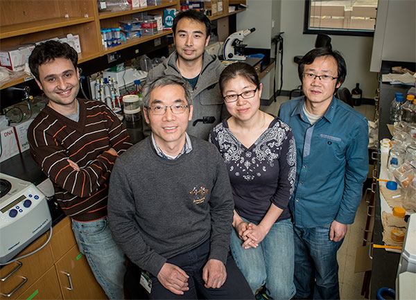 kejin hu lab