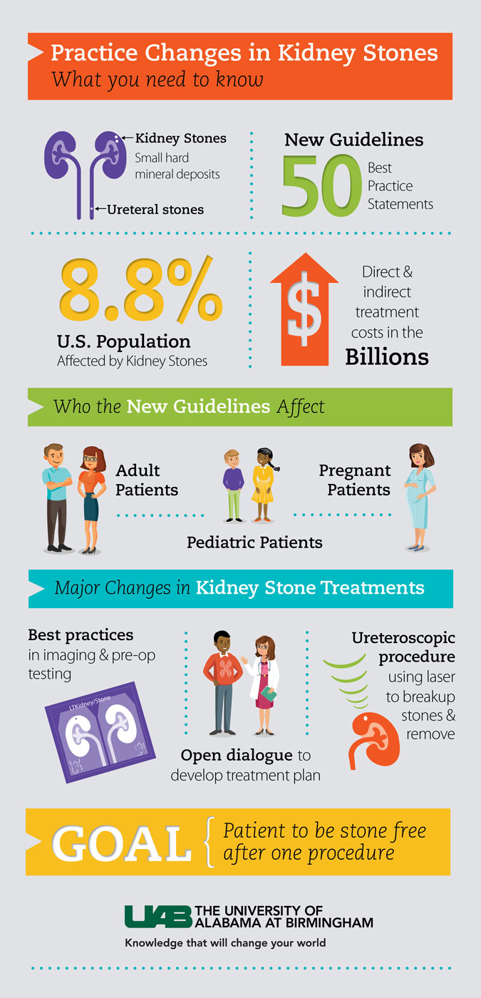 kidney stones infographic