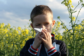 allergies_feature_site