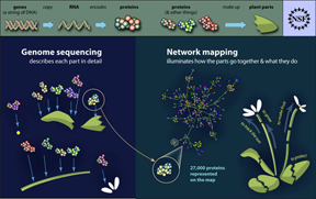 sequencing_vs_mapping_h_site