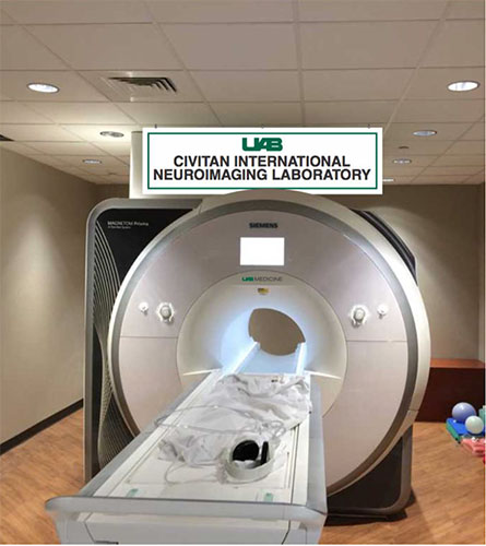 neuroimaging lab 2