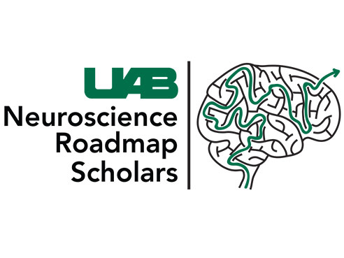 neuroscience roadmap