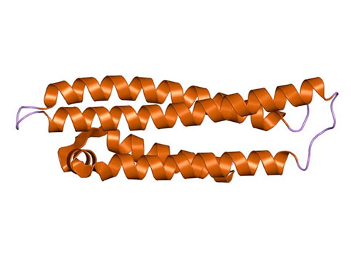 pdb receptor