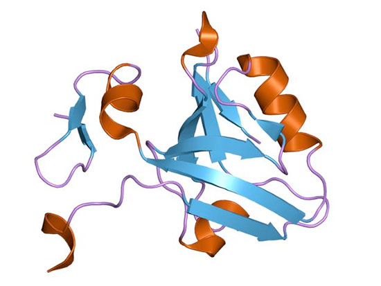 pdb stream