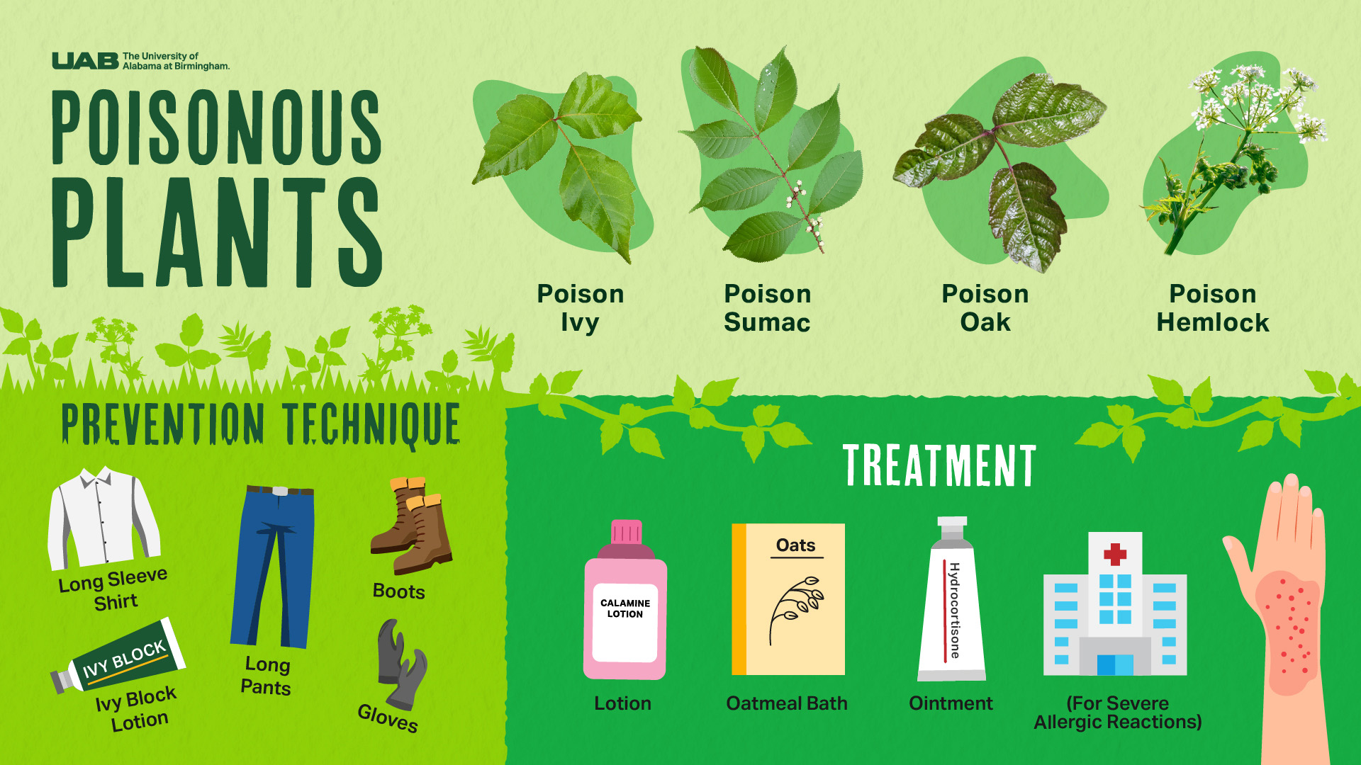 1210536306093100.1Mrb0sDMAS1kyyL2kknU height640