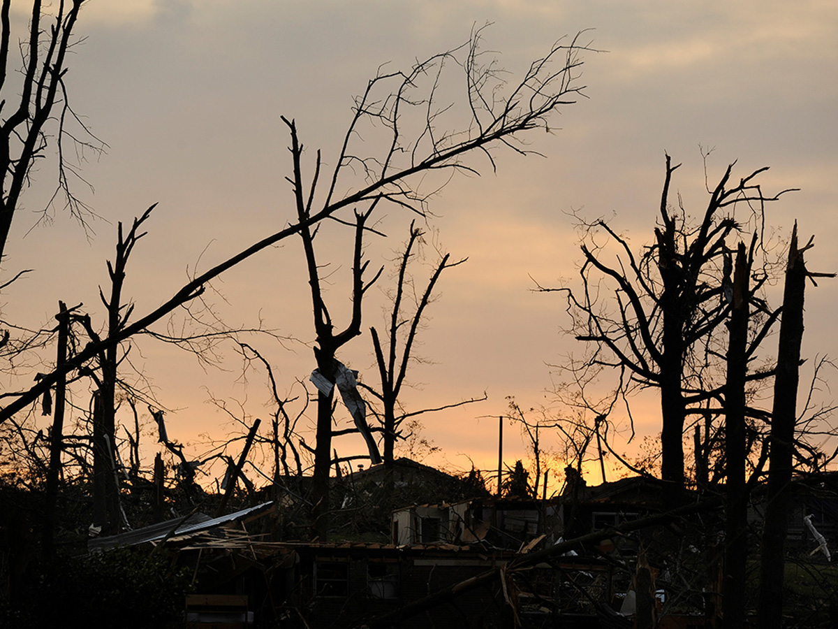 Image of broken trees and residential damages created by the tornados on April 27, 2011.