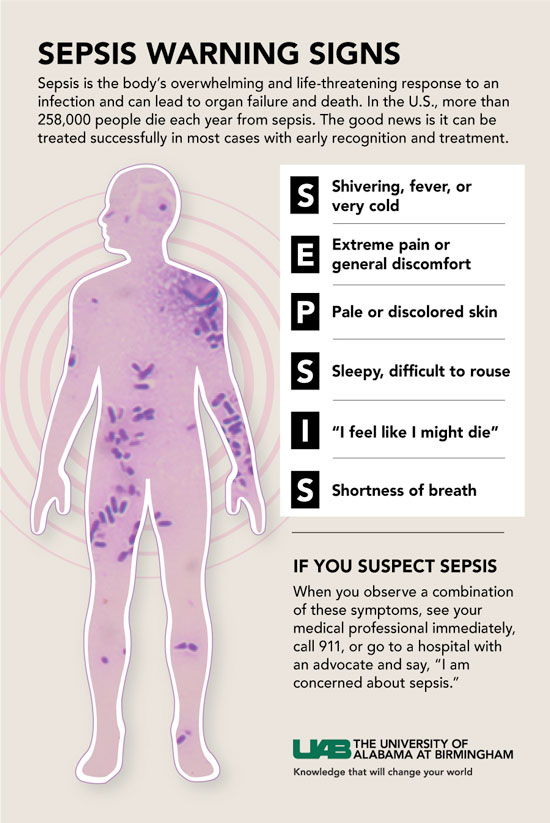 sepsis graphic web