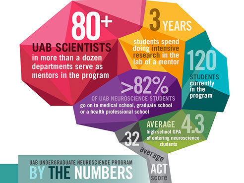 stream UNP Brain Infographic 900