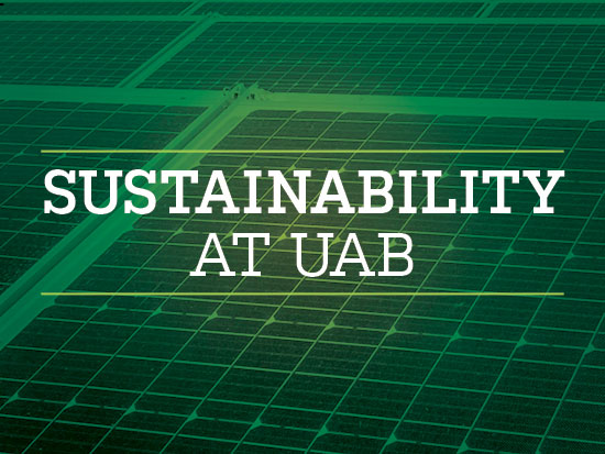 sustainability uab stream