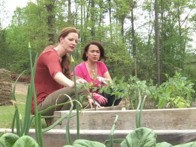 Harvest for Health expands cancer study, looks for new participants across Alabama