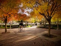 UAB announces Robert Palazzo as College of Arts &amp; Sciences’ interim dean