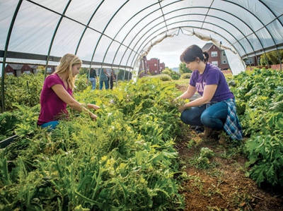 Public health students step up to the plate