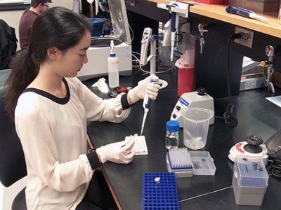 Blueprint for success — UAB’s undergraduate neuroscience major