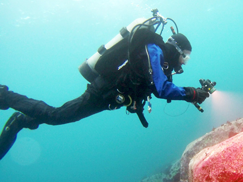 1,000 dives into the cold Antarctic depth — a researcher’s lifetime achievement