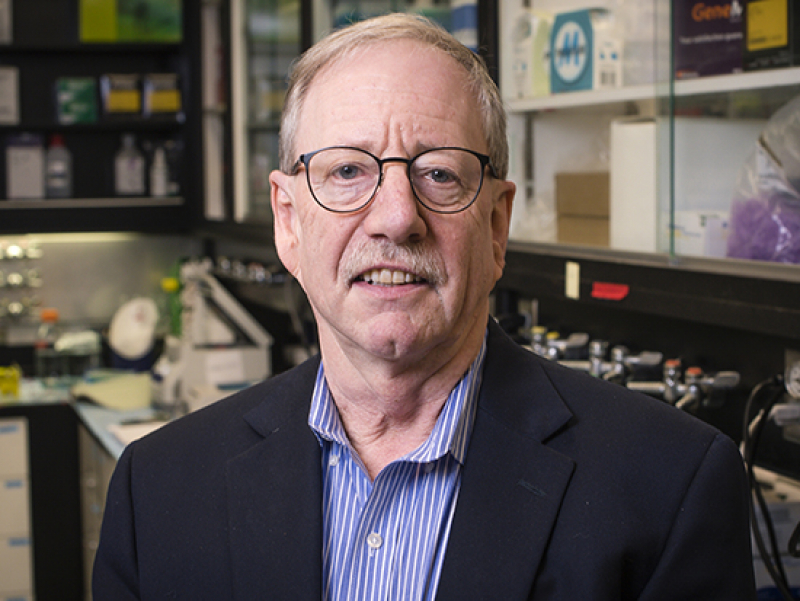 $3.7 million grant awarded to UAB to study antiviral therapies and accelerated aging