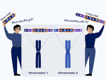 Researchers pioneering long-read sequencing studies explain why long reads matter