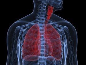 Commonly prescribed antibiotic reduces acute COPD attacks