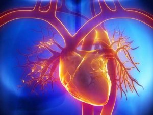 Risk of fatal heart disease higher among black men, women