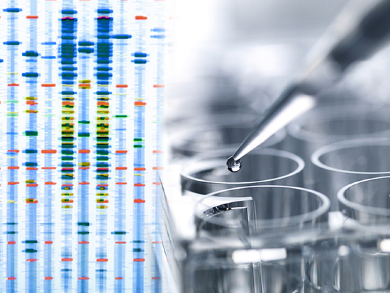 Microbial strains show individualized patterns of stability in the developing infant gut