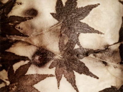 Create art from nature: how to make paper, brew plant dyes and more