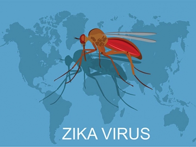 UAB observational study of Zika virus infection during pregnancy begins in Brazil