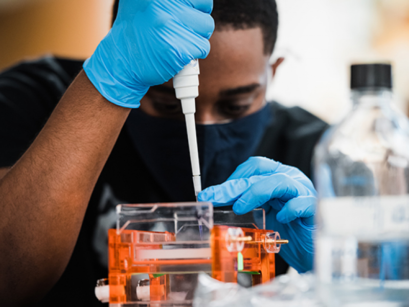 UAB RACE21 students teach lab techniques to ninth graders in central Alabama